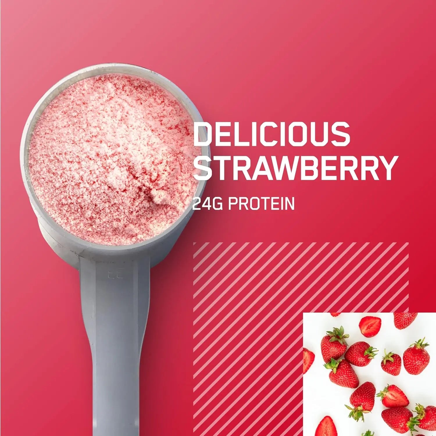 Optimum Nutrition Gold Standard 100% Whey Protein Isolate Powder, Delicious Strawberry, 2 Lbs, 29 Servings SAUDI SHARK